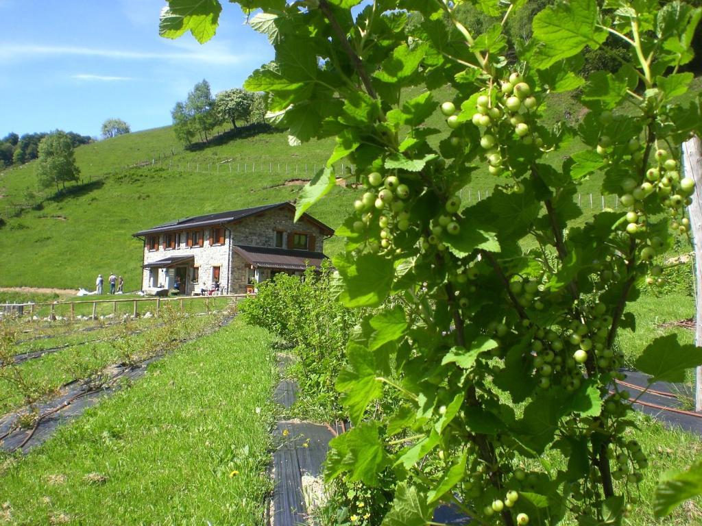 Agriturismo Le Radici San Fedele Intelvi Exterior photo