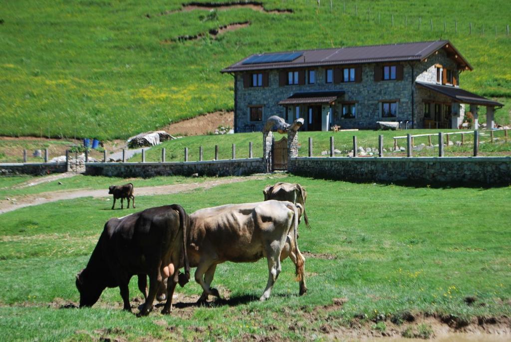 Agriturismo Le Radici San Fedele Intelvi Exterior photo