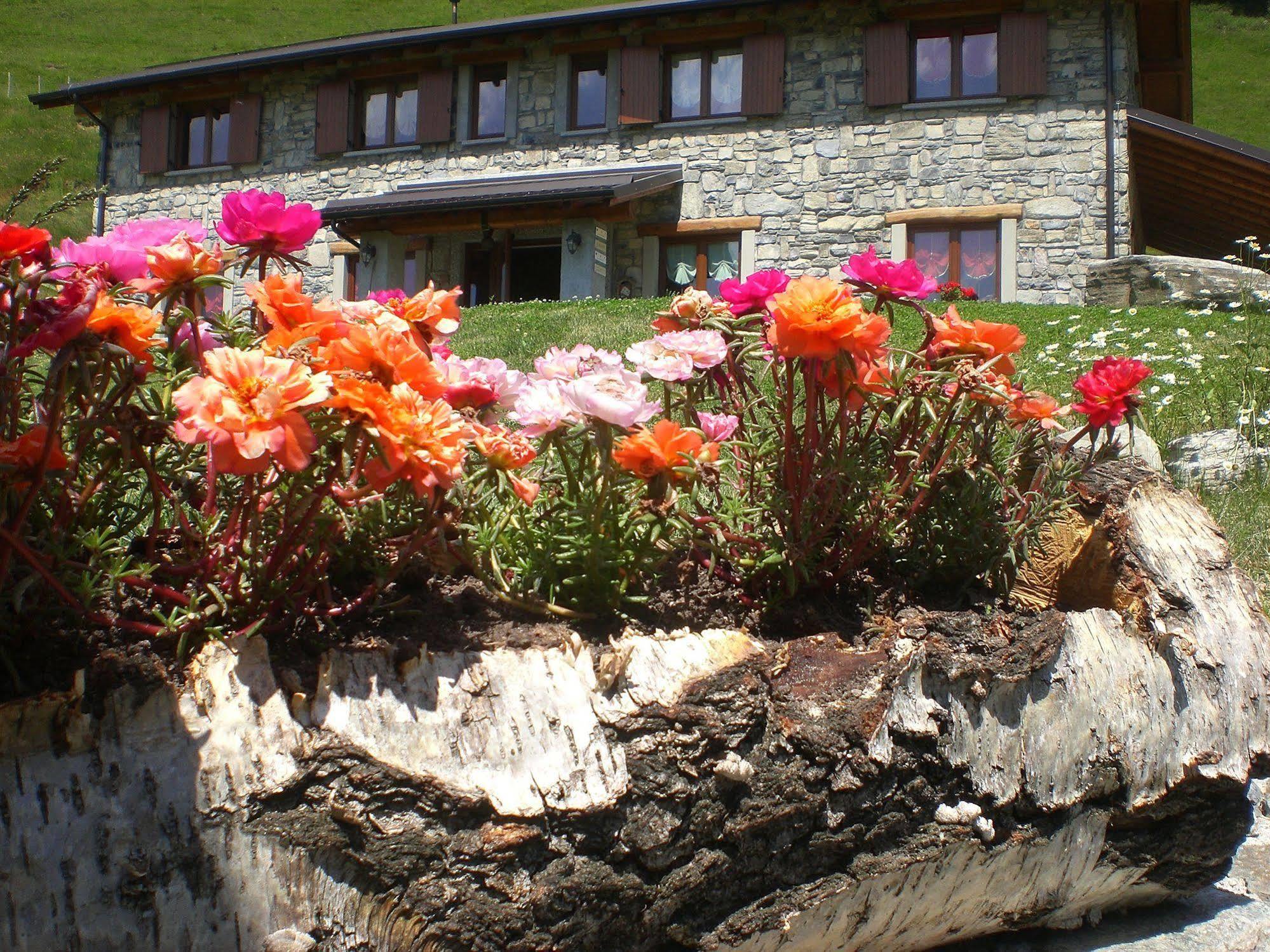 Agriturismo Le Radici San Fedele Intelvi Exterior photo