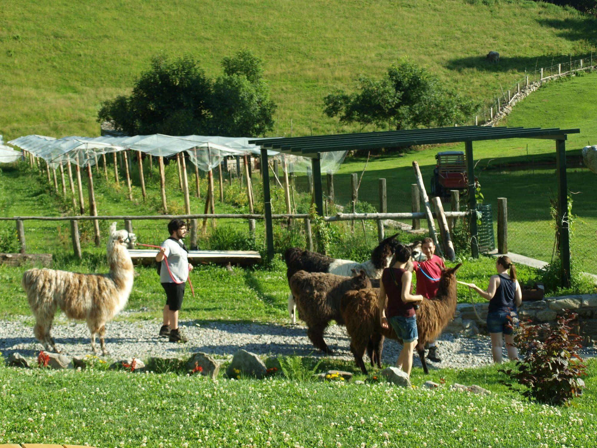 Agriturismo Le Radici San Fedele Intelvi Exterior photo